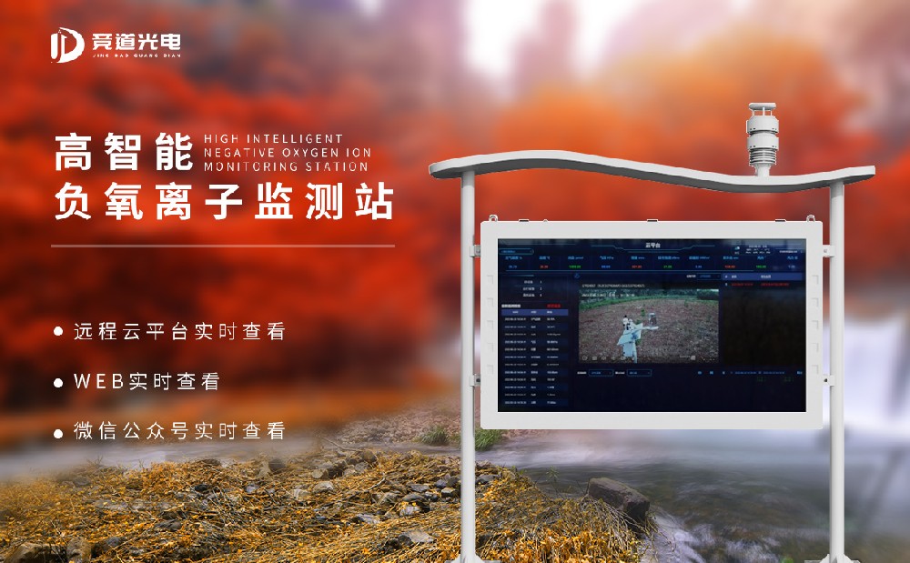 负氧离子在线监测体系哪一个厂家好
