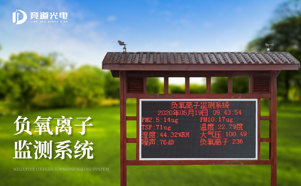 负氧离子监测体系