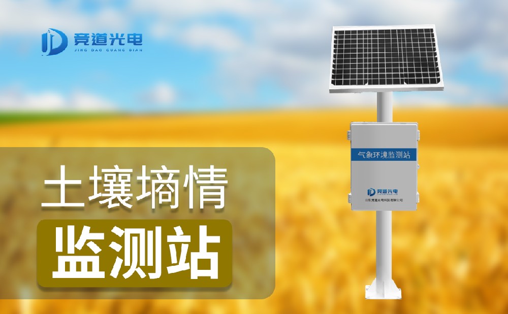 泥土墒情监测仪 泥土墒情监测仪
