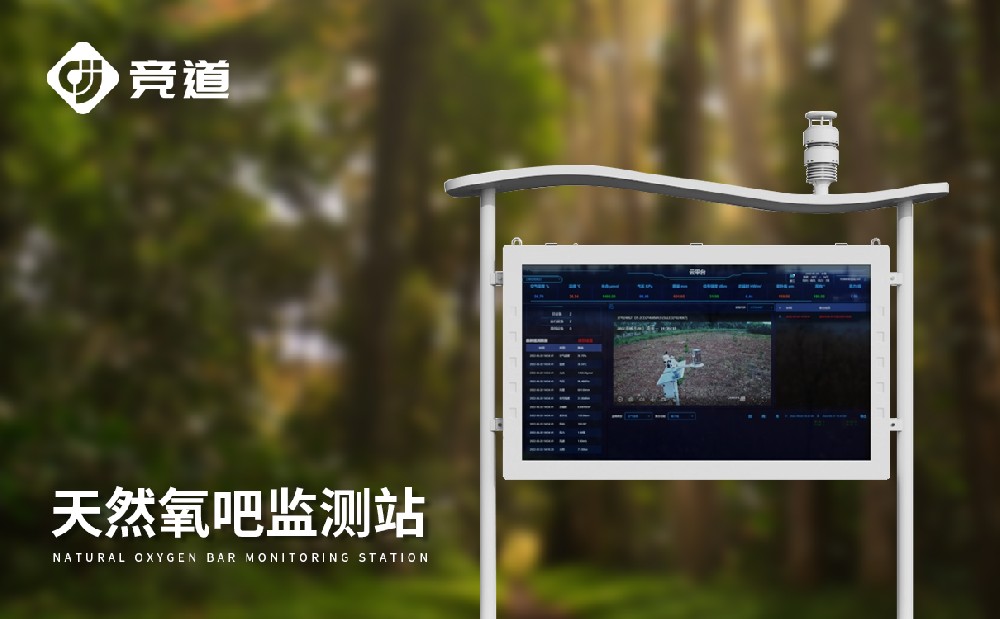 负氧离子监测体系