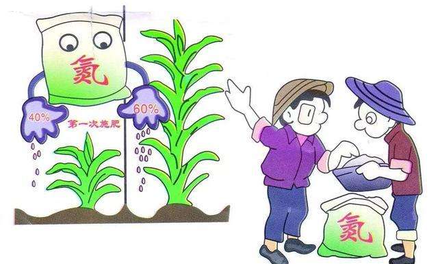 泥土检测装备仪器功效申明