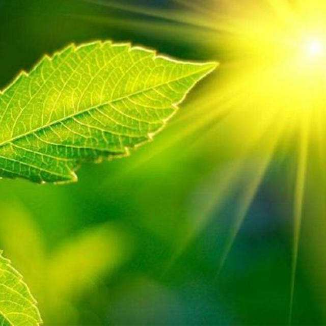 便携式光合感化测定仪操纵注重事变