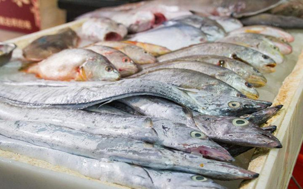 水产物药物残留检测仪 水产物药物残留检测仪