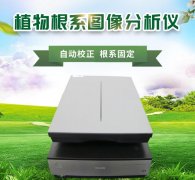 动物根系阐发体系增进动物生长